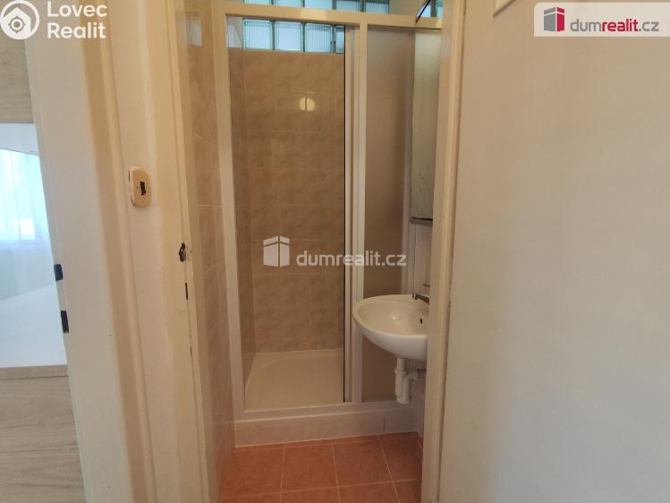 Rent apartment 1+1 Poděbrady, Říční č. 6