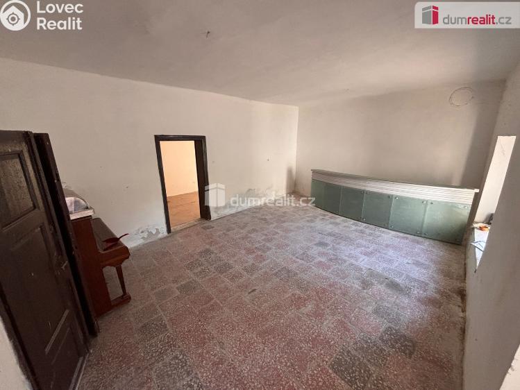 Продаж сімейного будинку Žiželice č. 19