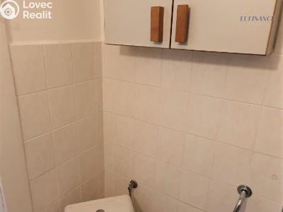 Pronájem bytu 1+KK Kralupy nad Vltavou, Máchova č. 6