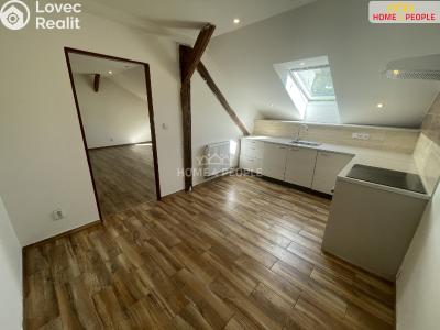 Pronájem bytu 1+1 Lochovice č. 2
