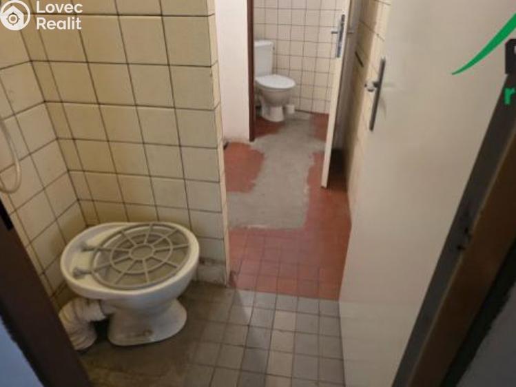 Оренда виробничого цеху Planá, Plzeňská č. 11