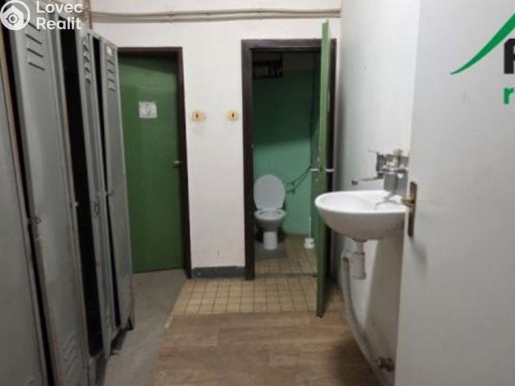 Оренда виробничого цеху Planá, Plzeňská č. 13