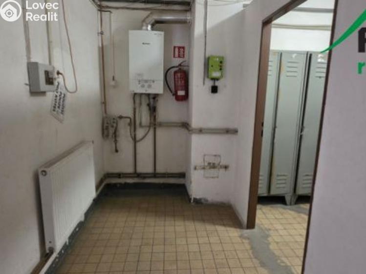 Оренда виробничого цеху Planá, Plzeňská č. 14