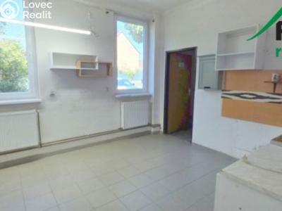 Pronájem výrobní haly Planá, Plzeňská č. 5