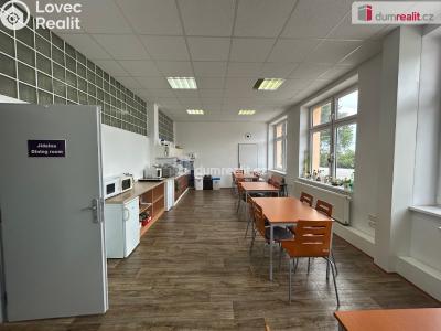 Pronájem skladového prostoru Poděbrady, Skladištní č. 5