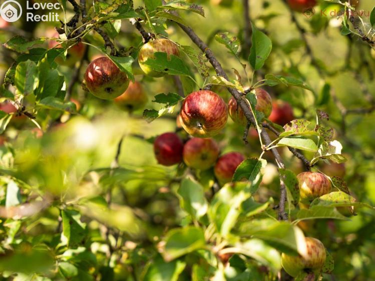 Prodej chaty Kunovice, Ve Strhanci č. 25