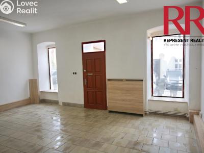 Rent commercial space Dobřany, Vančurova č. 1