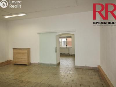 Rent commercial space Dobřany, Vančurova č. 5