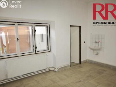 Rent commercial space Dobřany, Vančurova č. 6