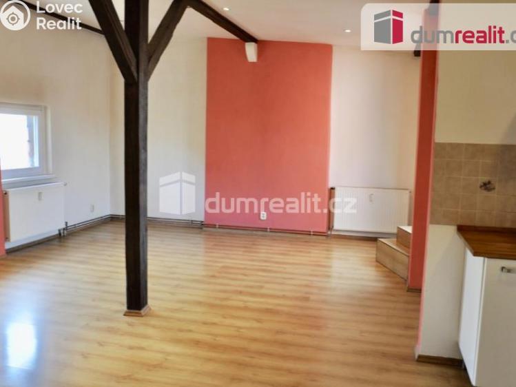 Pronájem bytu 1+KK Ústí nad Labem, Důlce č. 6