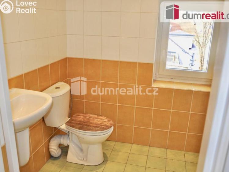 Pronájem bytu 1+KK Ústí nad Labem, Důlce č. 11
