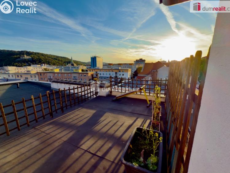 Pronájem bytu 1+KK Ústí nad Labem, Důlce č. 9