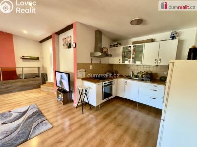 Pronájem bytu 1+KK Ústí nad Labem, Důlce č. 3