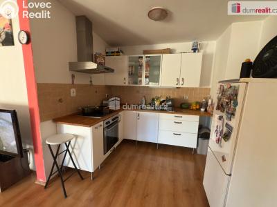Pronájem bytu 1+KK Ústí nad Labem, Důlce č. 4