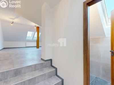 Продажа квартиры 3+KK Jiřice č. 3