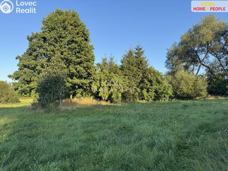 Sale cottage Studená č. 43