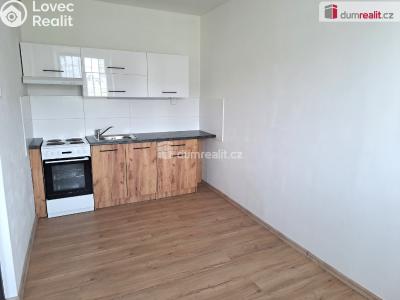Pronájem bytu 3+KK Ústí nad Labem, Mánesova č. 2