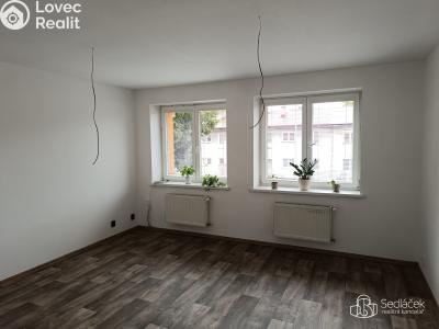 Pronájem bytu 1+1 Habartov, Čs. armády č. 3