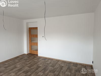 Pronájem bytu 1+1 Habartov, Čs. armády č. 4