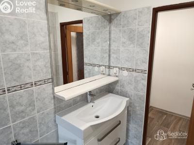 Pronájem bytu 1+1 Habartov, Čs. armády č. 6