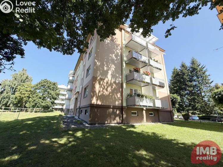 Prodej bytu 2+1 Nová Role, Tovární č. 19