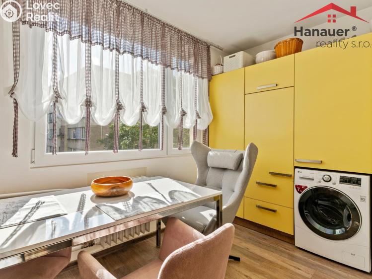 Sale apartment 3+1 Ústí nad Labem, U Pivovarské zahrady č. 2