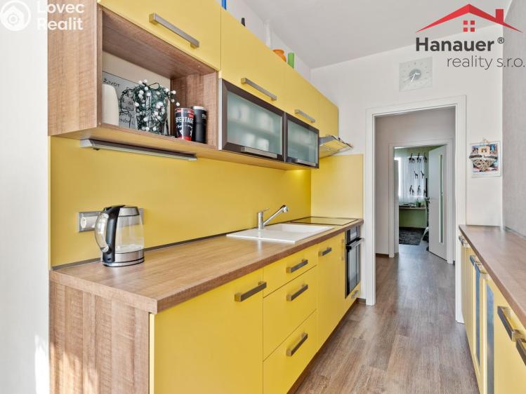 Sale apartment 3+1 Ústí nad Labem, U Pivovarské zahrady č. 7