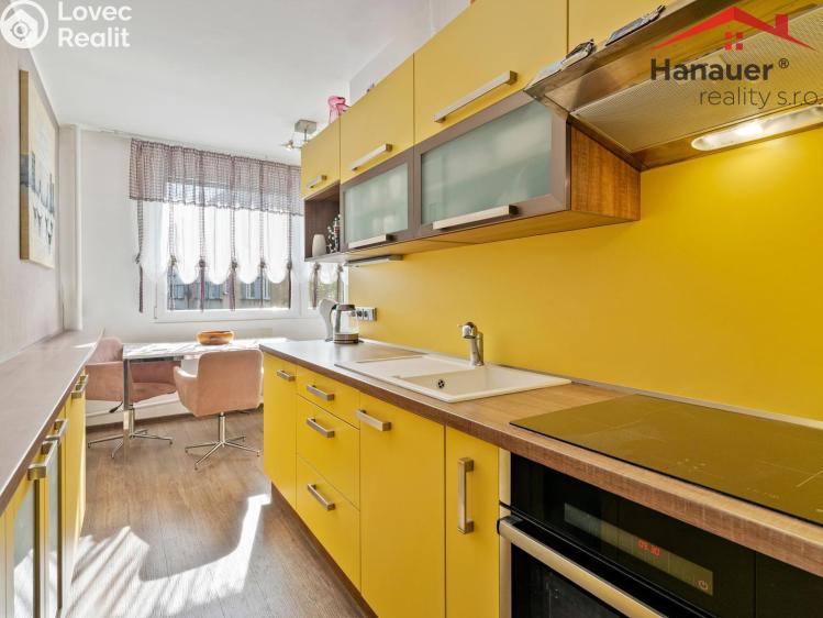 Sale apartment 3+1 Ústí nad Labem, U Pivovarské zahrady č. 14