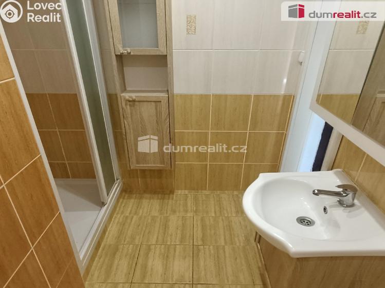 Rent apartment 1+1 Benešov nad Ploučnicí, Družstevní č. 6