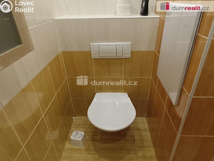 Rent apartment 1+1 Benešov nad Ploučnicí, Družstevní č. 7