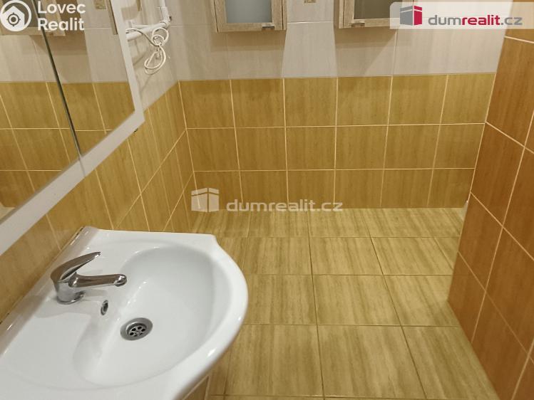 Rent apartment 1+1 Benešov nad Ploučnicí, Družstevní č. 8