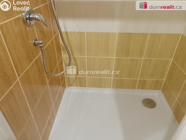Rent apartment 1+1 Benešov nad Ploučnicí, Družstevní č. 9