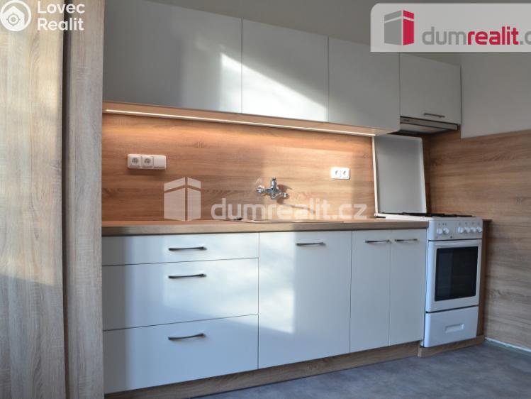 Rent apartment 1+1 Příbram, Okružní č. 1