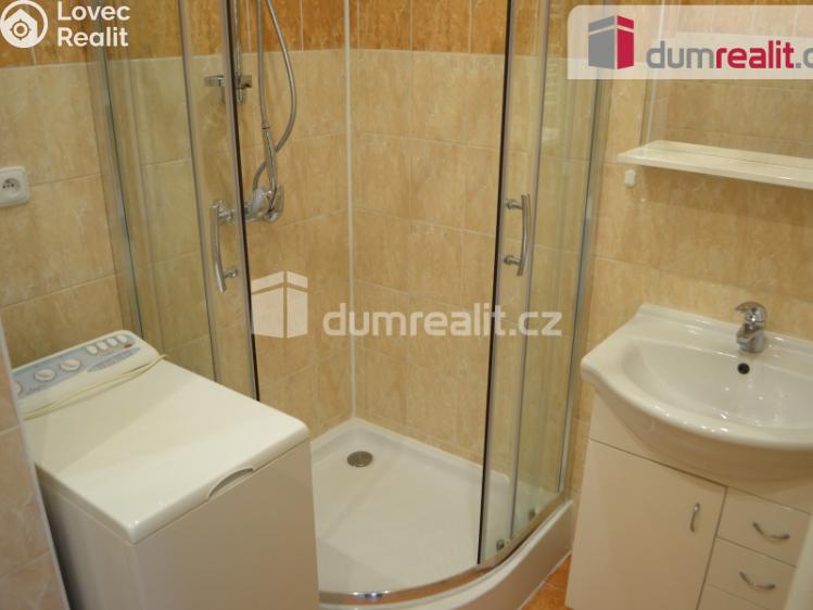 Rent apartment 1+1 Příbram, Okružní č. 2