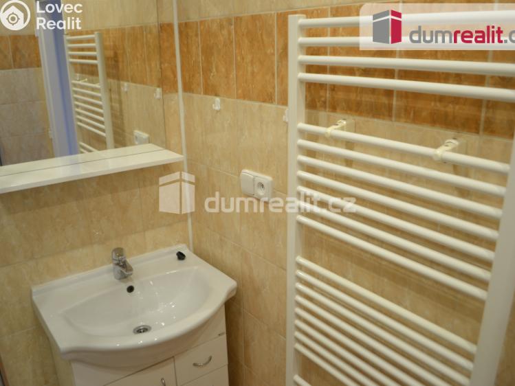 Rent apartment 1+1 Příbram, Okružní č. 10