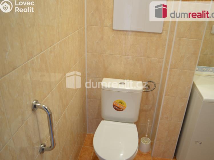 Rent apartment 1+1 Příbram, Okružní č. 12