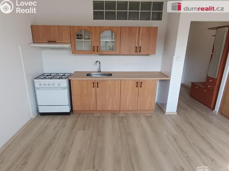 Rent apartment 1+1 Děčín, Jezdecká č. 1