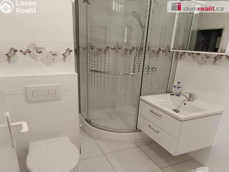 Rent apartment 1+1 Děčín, Jezdecká č. 6