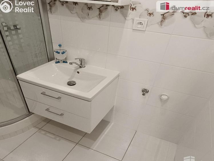 Rent apartment 1+1 Děčín, Jezdecká č. 7