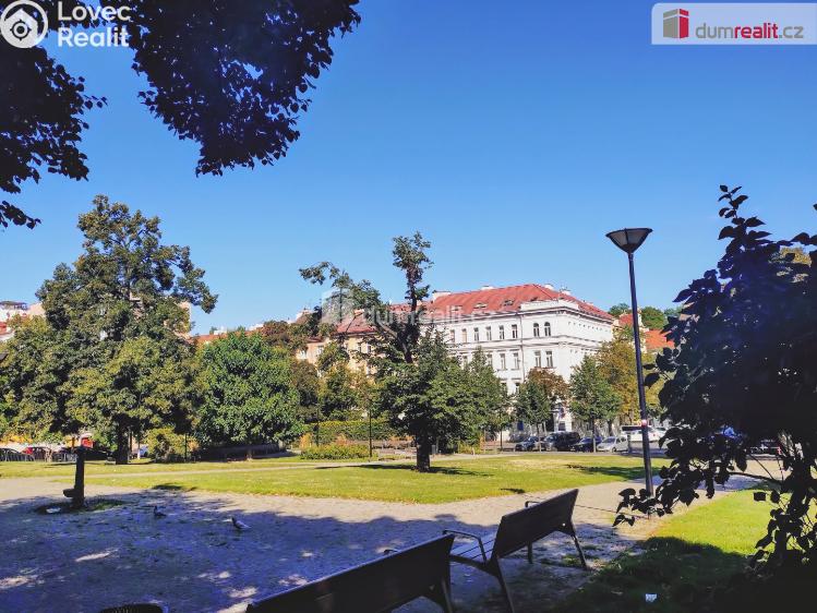 Оренда офісного приміщення Praha 3, Žerotínova č. 19