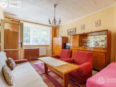 Prodej bytu 1+1 Habartov, Okružní č. 3
