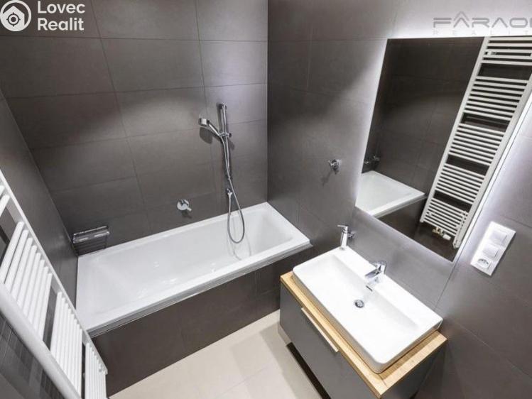Pronájem bytu 3+KK Praha, U Viktorie č. 5