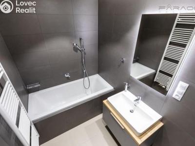 Pronájem bytu 3+KK Praha, U Viktorie č. 6