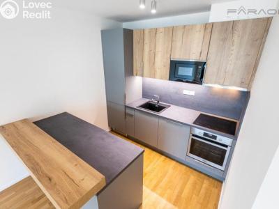 Оренда квартири 3+KK Praha, U Viktorie č. 6