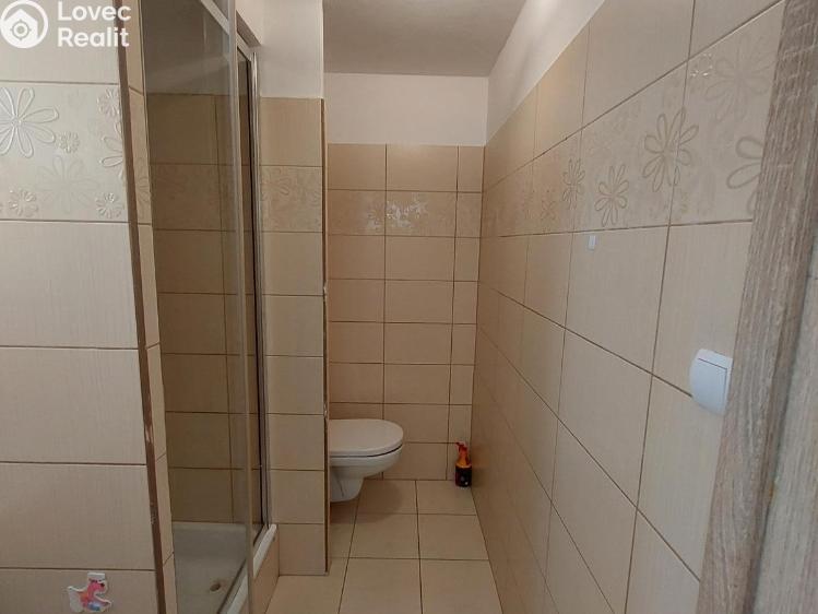 Оренда квартири 1+1 Stříbro, Gagarinova č. 4