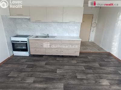 Pronájem bytu 1+1 Děčín, Oblouková č. 1