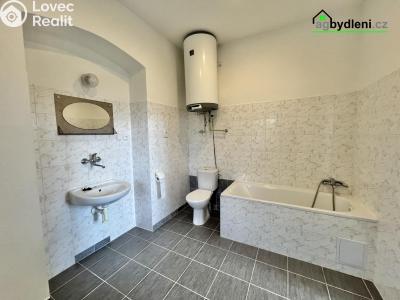 Pronájem bytu 2+1 Horšovský Týn č. 3
