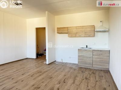 Pronájem bytu 1+KK Ústí nad Labem, Dukelských hrdinů č. 2