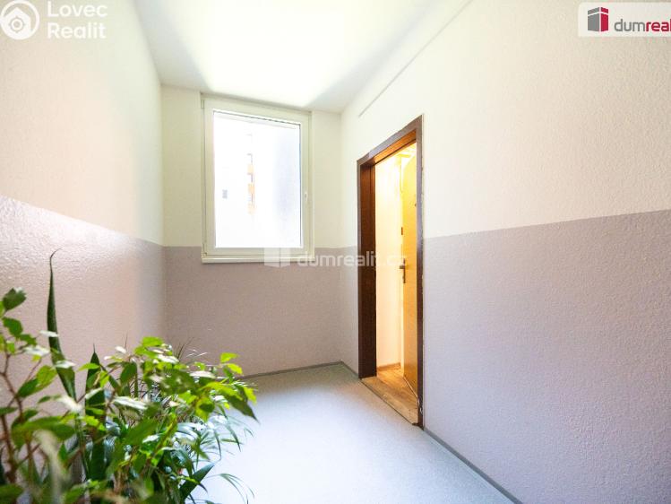 Rent apartment 1+1 České Budějovice, M. Chlajna č. 11