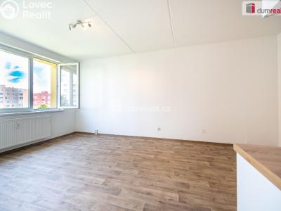 Pronájem bytu 1+1 České Budějovice, M. Chlajna č. 3
